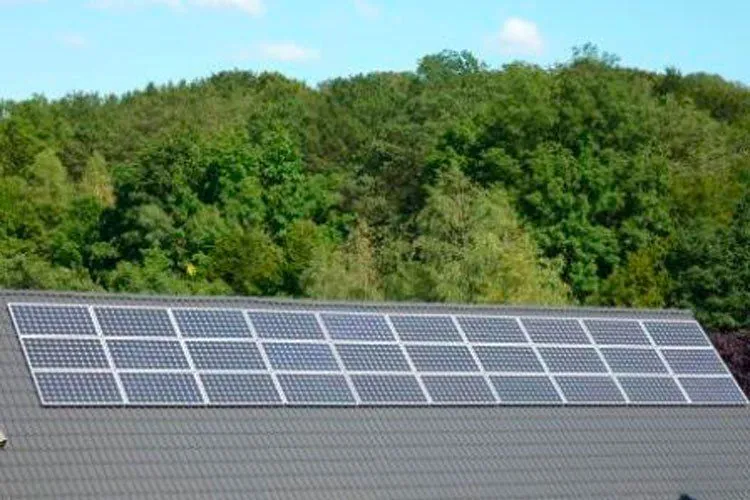 Photovoltaikmodule auf dem Stalldach vor bewaldetem Hang
